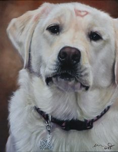 Katie Emmitt Art - Dog Pastel Portrait