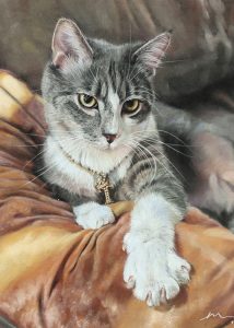 Katie Emmitt Art - Cat Portrait