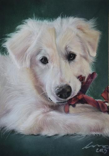 Katie Emmitt Art - Dog Pastel Portrait