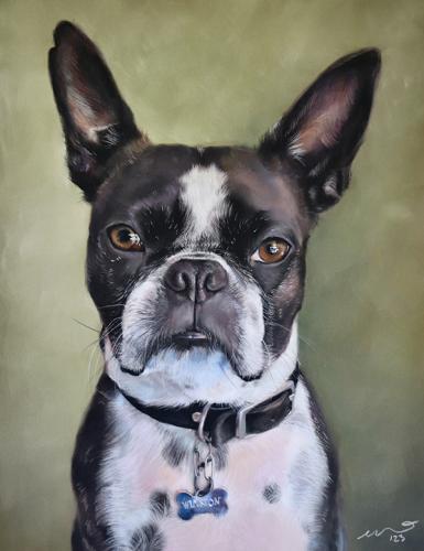 Katie Emmitt Art - Dog Pastel Portrait