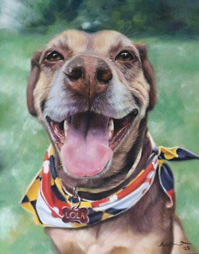 Katie Emmitt Art - Dog Pastel Portrait