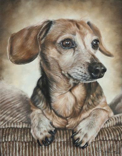 Katie Emmitt Art Custom Realism Pastel Pet Portrait