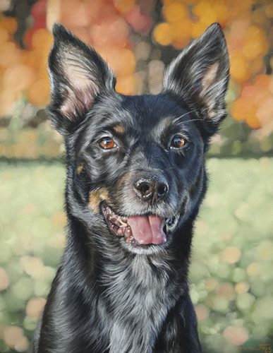 Katie Emmitt Art Custom Realism Pastel Pet Portrait