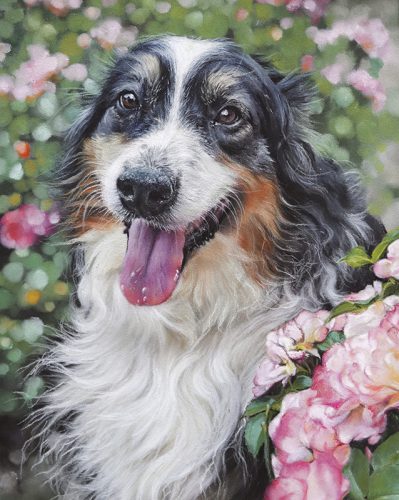 Katie Emmitt Art Custom Realism Pastel Pet Portrait