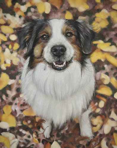 Katie Emmitt Art Custom Realism Pastel Dog Portrait
