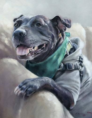 Katie Emmitt Art - Dog Pastel Portrait