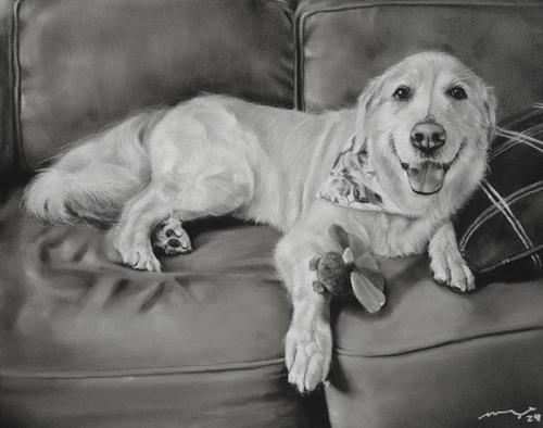 Katie Emmitt Art - Dog Pastel Portrait