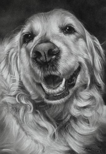 Katie Emmitt Art - Dog Pastel Portrait